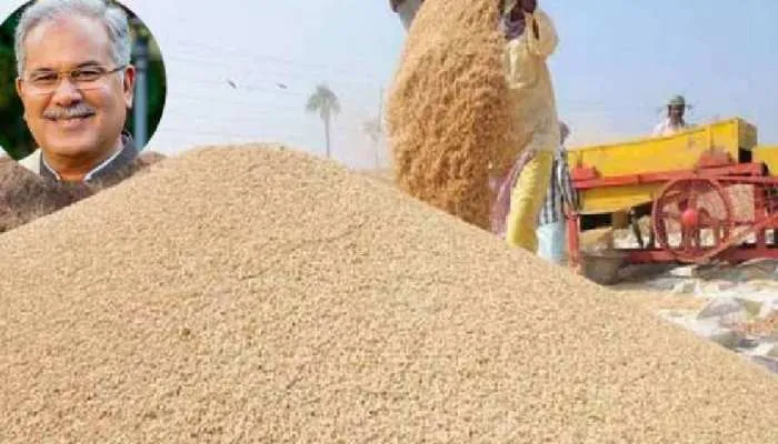छत्तीसगढ़ में एक नवंबर को शुरू हो होगी किसानों से धान की खरीद 