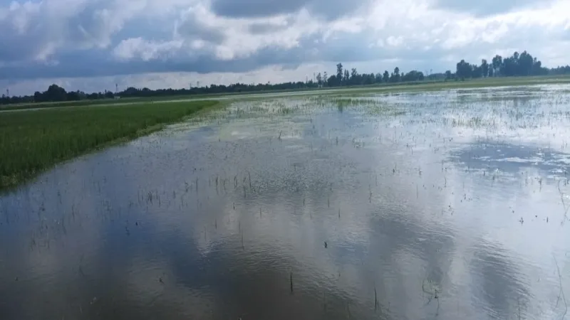 अयोध्या : तमसा के बढ़े जलस्तर में समाई सैकड़ों एकड़ की फसल, बनाया जा रहा है रपटा पुल