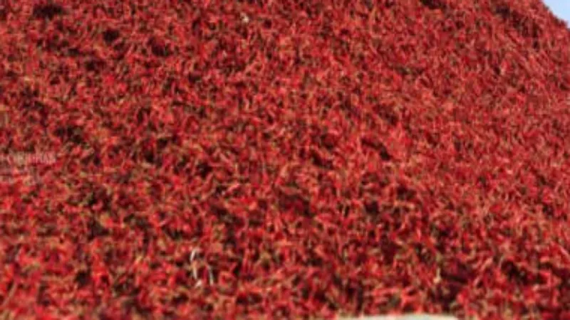 आगरा में 15 साल बाद लौटा मिर्ची गैंग, दुकानदार को बनाया निशाना - Video