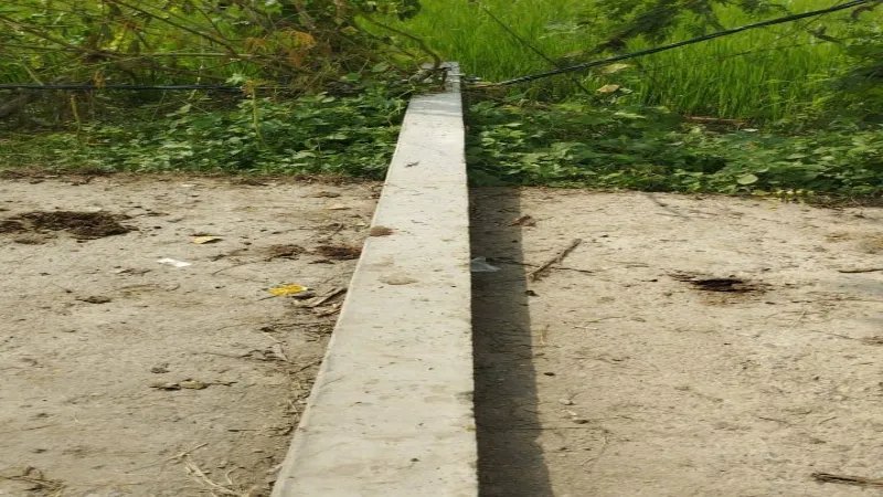 बहराइच : विद्युत पोल टूटने से तीन सौ लोगों की आबादी 12 दिनों से झेल रही बिजली संकट