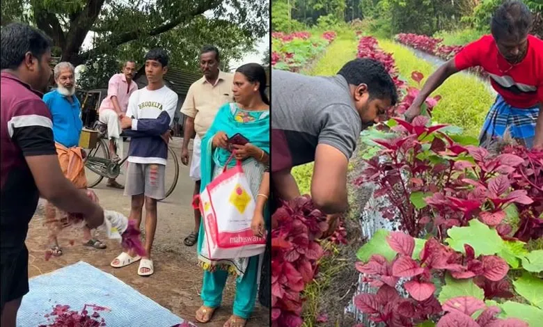 करोड़ों की कार से सब्जी बेचने मंडी पहुंचा किसान, ऑडी से उतरते ही बदला भेष, वीडियो वायरल