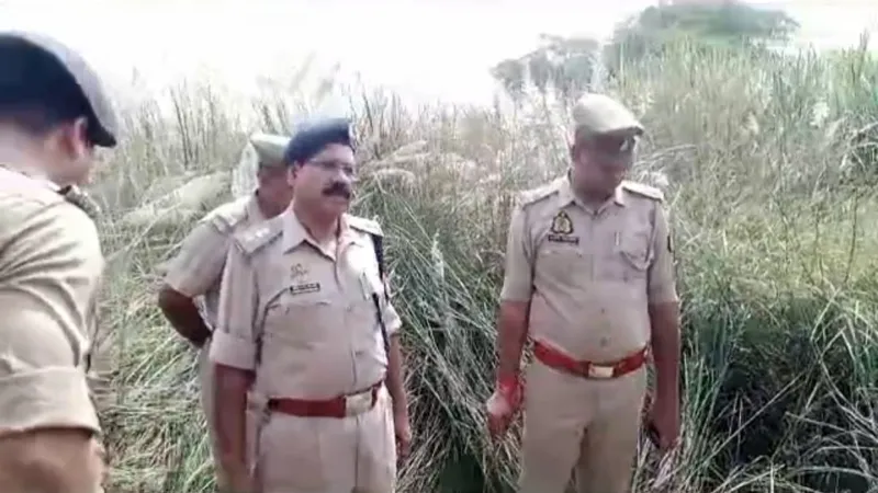 6 - 2023-09-27T163617.271