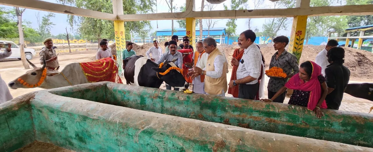 बरेली: वन मंत्री ने नंदौसी गौशाला में किया पूजन, गौ माता को खिलाया गुड़