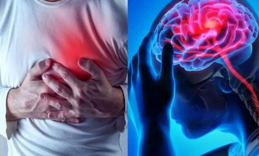 हार्ट अटैक...स्ट्रोक और समय से पहले मौत से बचना है तो करें ये एक्टिविटी, अध्ययन में दावा