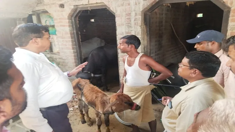 अमृत विचार इम्पैक्ट : बहराइच के पकरा देवरिया गांव में पहुंची पशु चिकित्सक टीम  