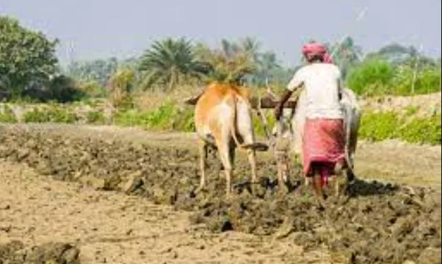 बरेली: जिले में 28 हजार किसान बनेंगे समितियों के सदस्य, लक्ष्य निर्धारित