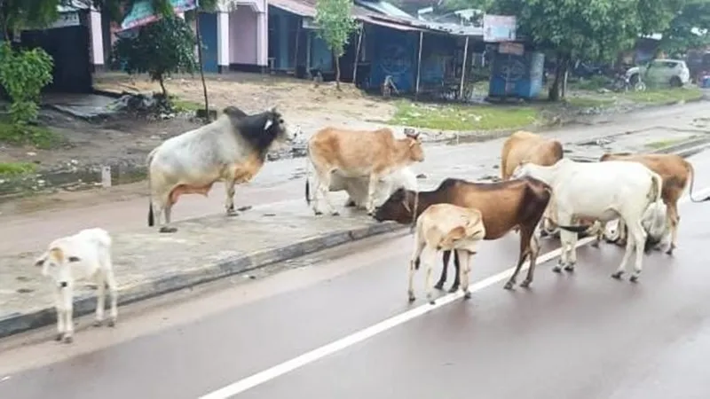 अयोध्या: फुल हुई कान्हा गौशाला, तीन ग्राम पंचायतों में अभी भी निर्माण अधूरा