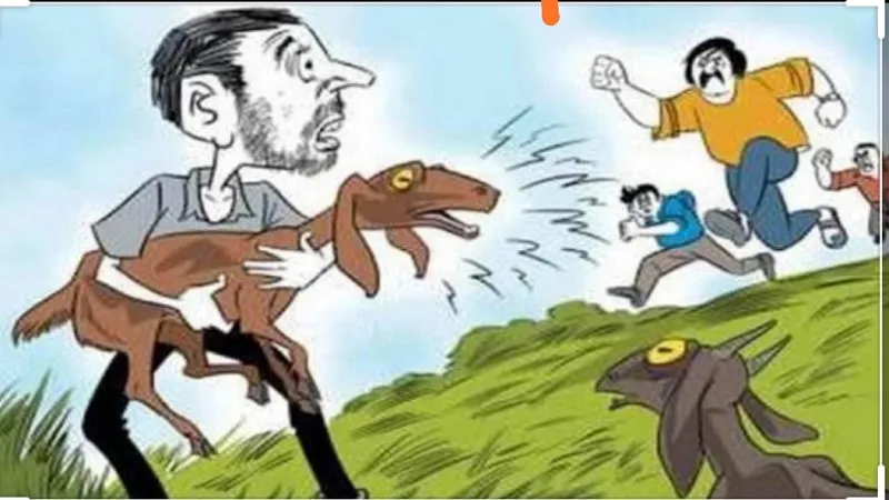 अमरोहा : मवेशी चुराकर भाग रहे तीन युवकों की परिजनों व ग्रामीणों ने की घेराबंदी, फिर किया पुलिस के हवाले 