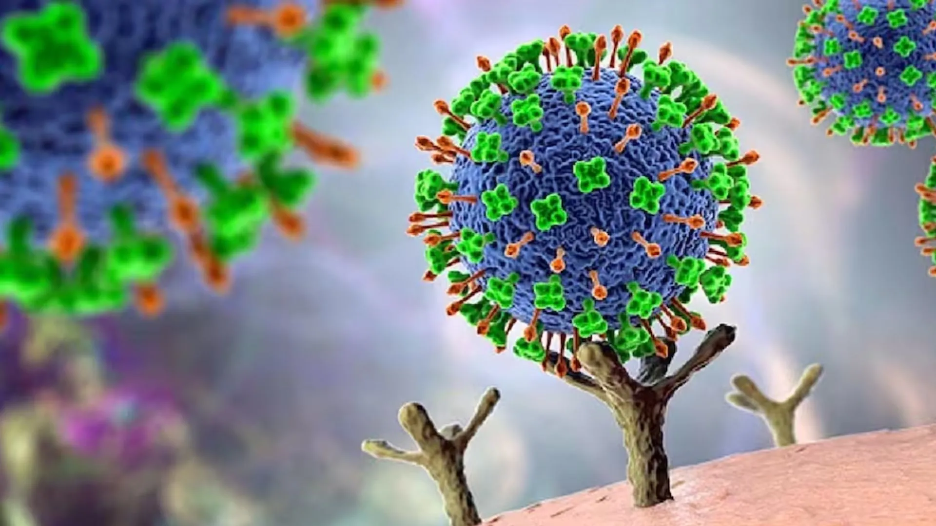 निपाह वायरस का कहर! केरल में दो लोगों की मौत, अलर्ट जारी 