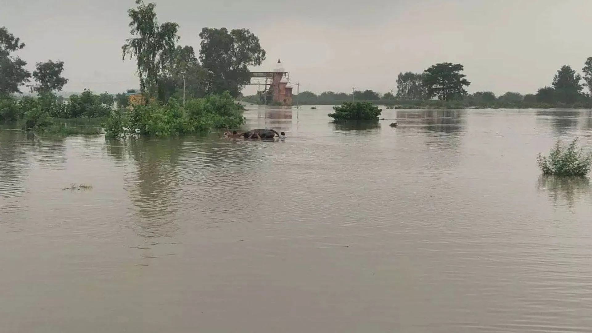 शाहजहांपुर: प्रशासनिक सर्वे में सिर्फ 4.50 लाख की फसलें बाढ़ से तबाह