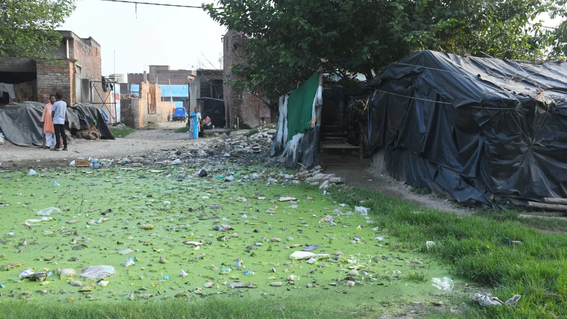 बरेली : तीन विधानसभा क्षेत्र में आता है वार्ड, मगर समस्याओं का अंबार