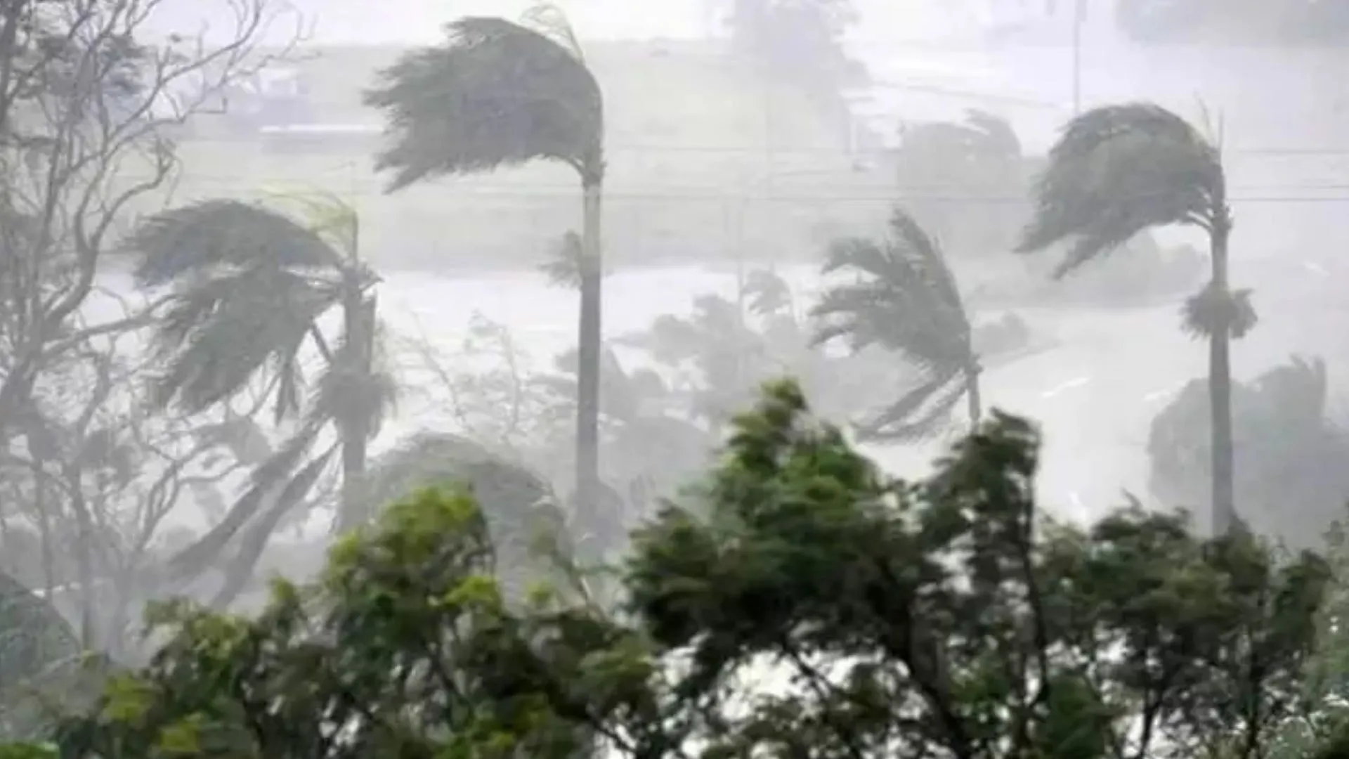 ब्राजील में उष्णकटिबंधीय चक्रवात से 44 लोगों की मौत 