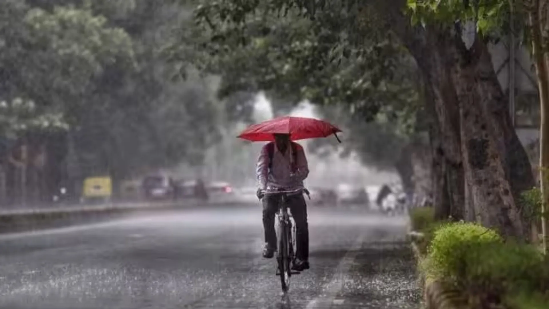 बरेली: अभी सोमवार तक होगी बारिश, तीन डिग्री लुढ़का पारा