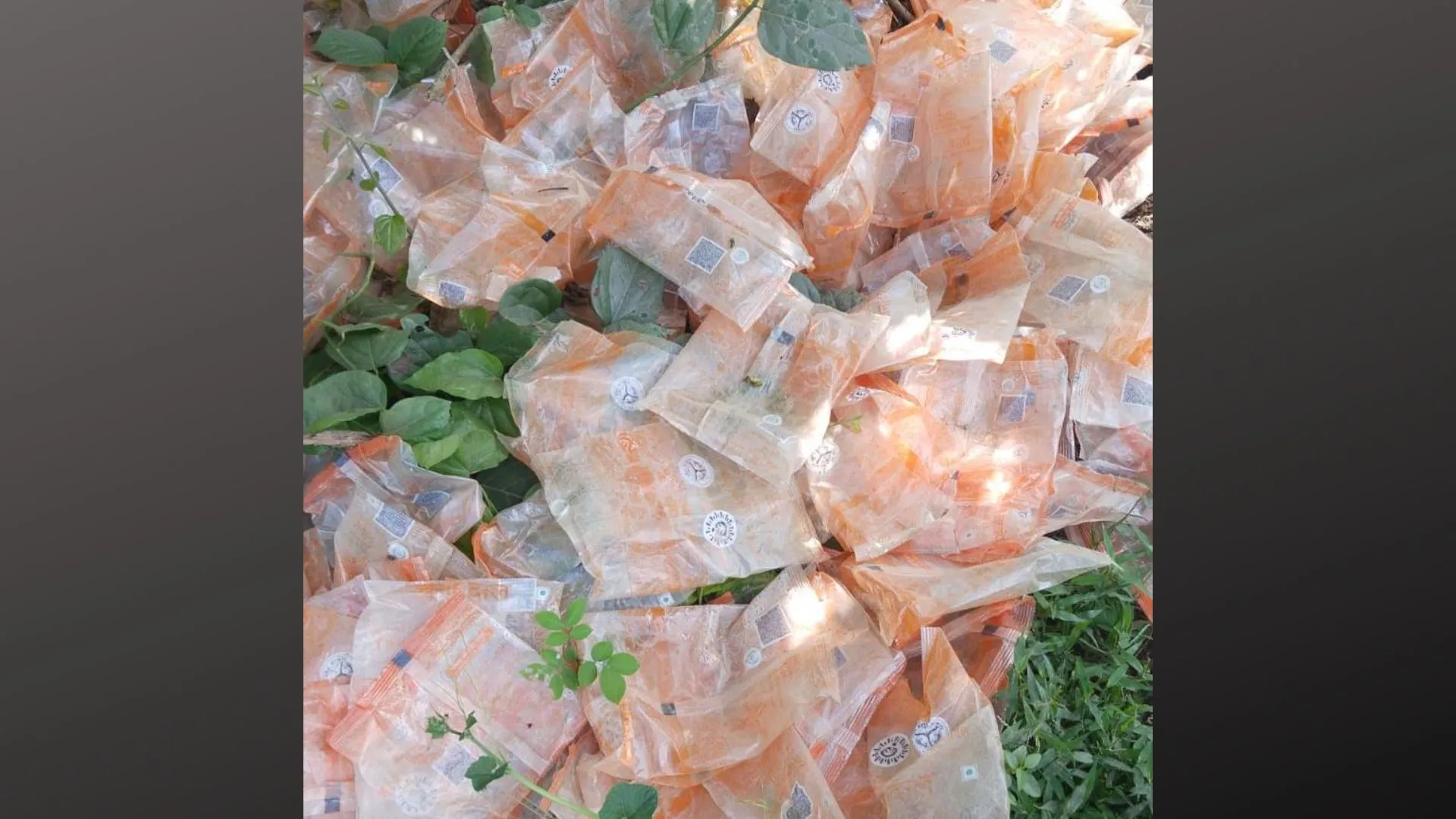 लखीमपुर खीरी: पोषाहार वितरण में भ्रष्टाचार, सैंकड़ो पैकेटों में लगाई आग