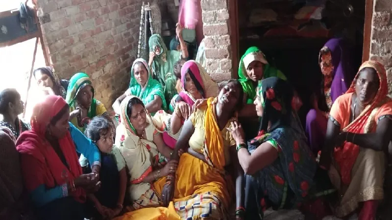 संभल: नेवले के काटने से किसान की मौत, धान की फसल में खाद लगा रहा था बाबूराम 