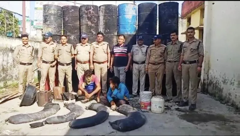 खटीमा: 15 भट्टियां ध्वस्त, 400 लीटर अवैध शराब बरामद, 8000 लीटर लहन किया नष्ट