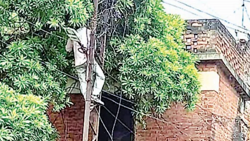 Kanpur News: मौत की लाइनों के नीचे बने निर्माण पर चलेगा बुलडोजर, केस्को और केडीए मिलकर चलाएंगे अभियान