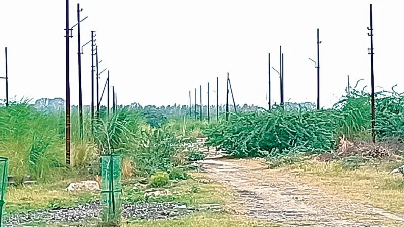 Kanpur: चकेरी औद्योगिक क्षेत्र में बिना स्ट्रीट लाइट के पोल, टूटी पड़ीं नालियां, रात के अंधेरे में जाने से डरते