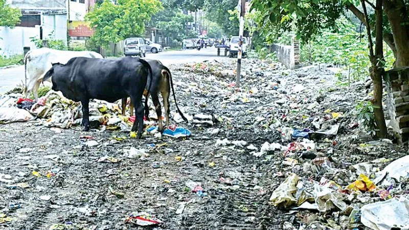 Amrit Vichar Investigation: शारदा नगर में टूटी सड़कें और नलों से गंदा पानी, जगह-जगह लगे गंदगी के ढेर, मोहल्लेवासी परेशान