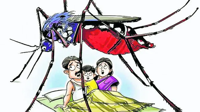 हल्द्वानी:  'जिम्मेदारों' के घर की छतों पर मिला डेंगू का लार्वा
