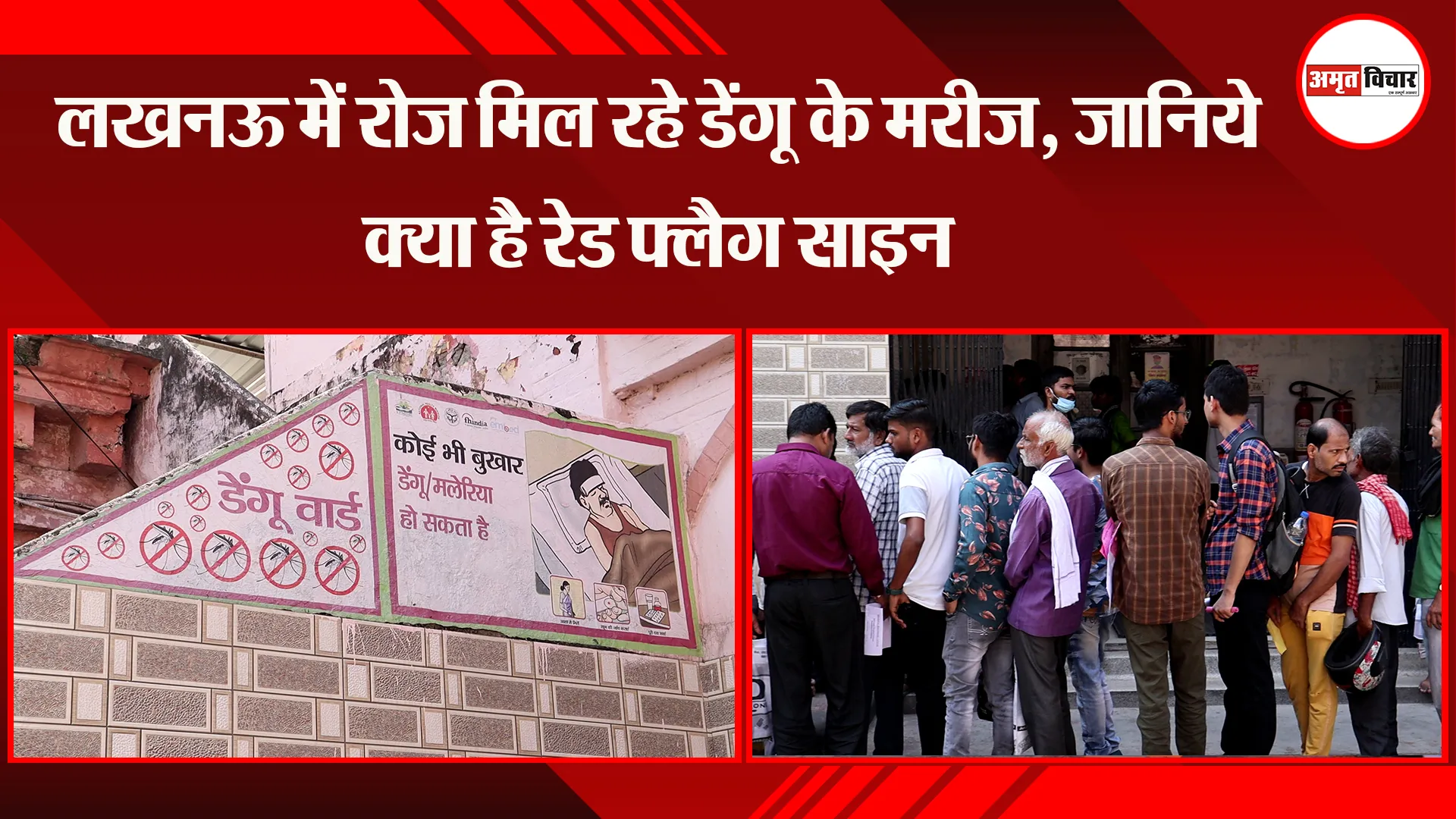लखनऊ में रोज मिल रहे डेंगू के मरीज, जानिये क्या है रेड फ्लैग साइन 