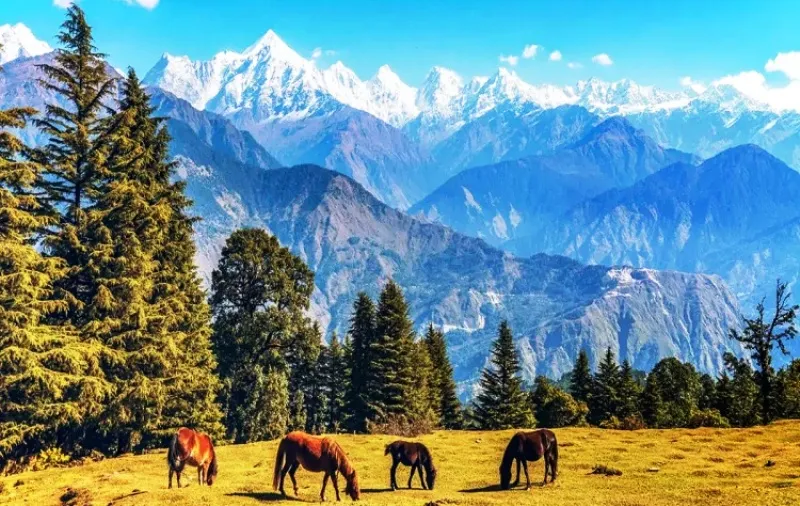 पिथौरागढ़: यह गांव बन गया देश का श्रेष्ठ पर्यटन गांव, 27 सितंबर को होगी आधिकारिक तौर पर घोषणा