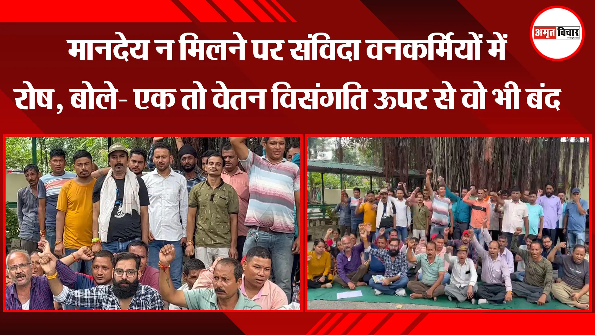  हल्द्वानी: मानदेय न मिलने पर संविदा वनकर्मियों में रोष, बोले- एक तो वेतन विसंगति ऊपर से वो भी बंद