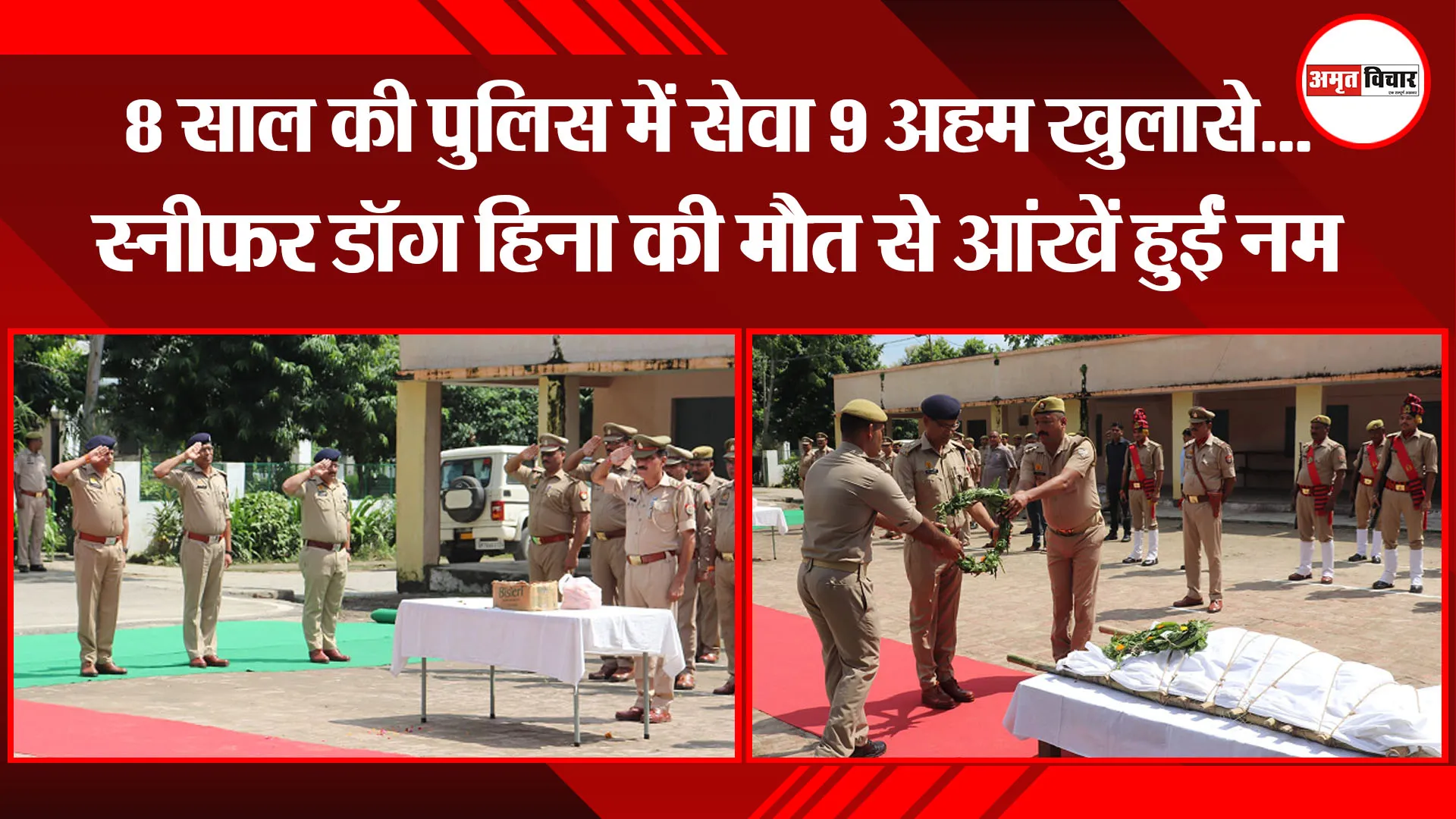 मुरादाबाद: 8 साल की पुलिस में सेवा 9 अहम खुलासे... स्नीफर डॉग हिना की मौत से आंखें हुईं नम