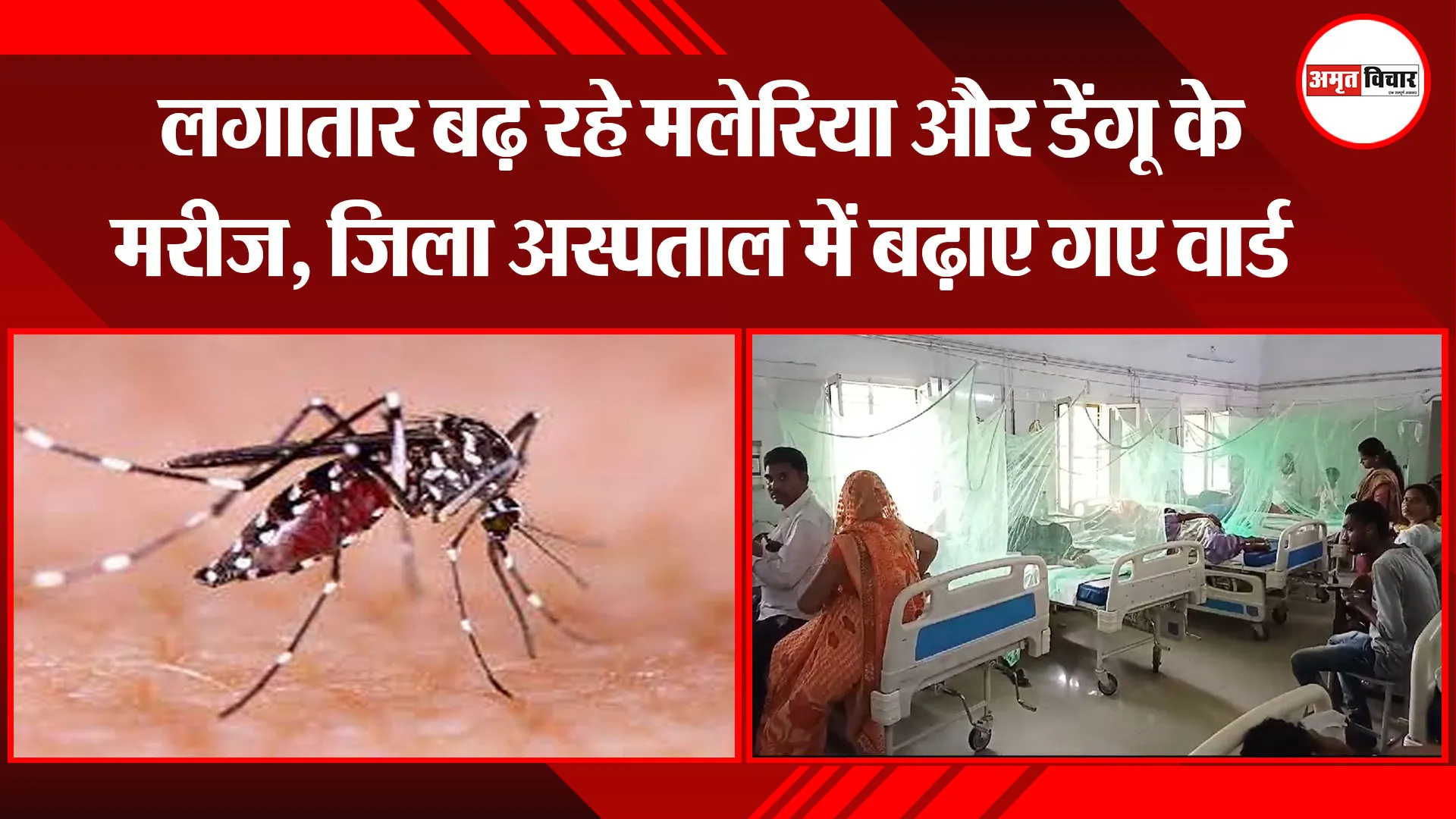 बरेली: लगातार बढ़ रहे मलेरिया और डेंगू के मरीज, जिला अस्पताल में बढ़ाए गए वार्ड 