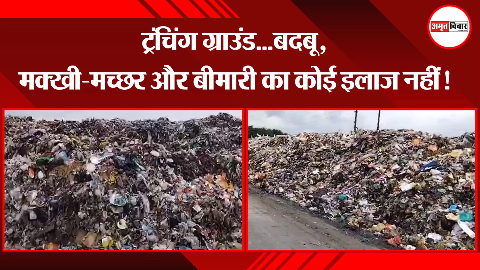 हल्द्वानी: ट्रंचिंग ग्राउंड...बदबू, मक्खी-मच्छर और बीमारी का कोई इलाज नहीं!