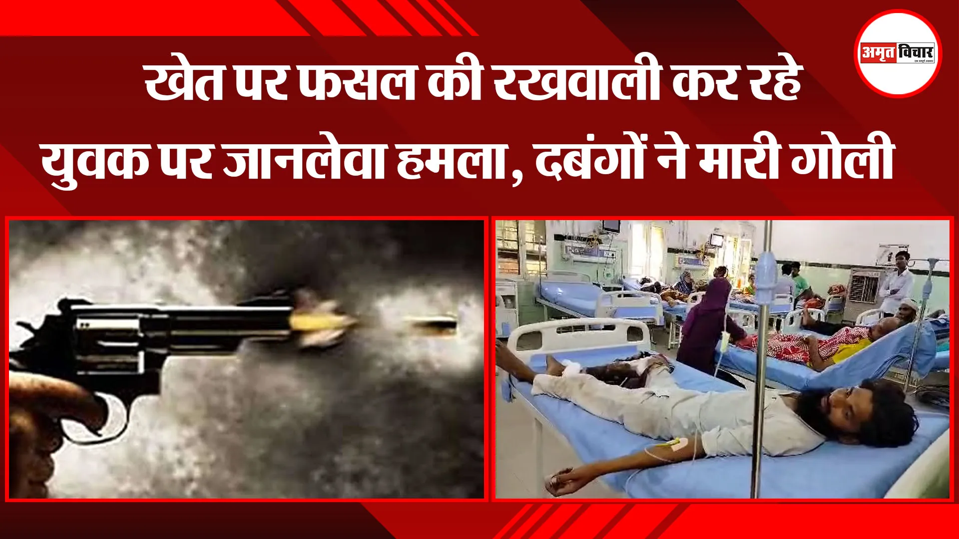 बरेली: खेत पर फसल की रखवाली कर रहे युवक पर जानलेवा हमला, दबंगों ने मारी गोली
