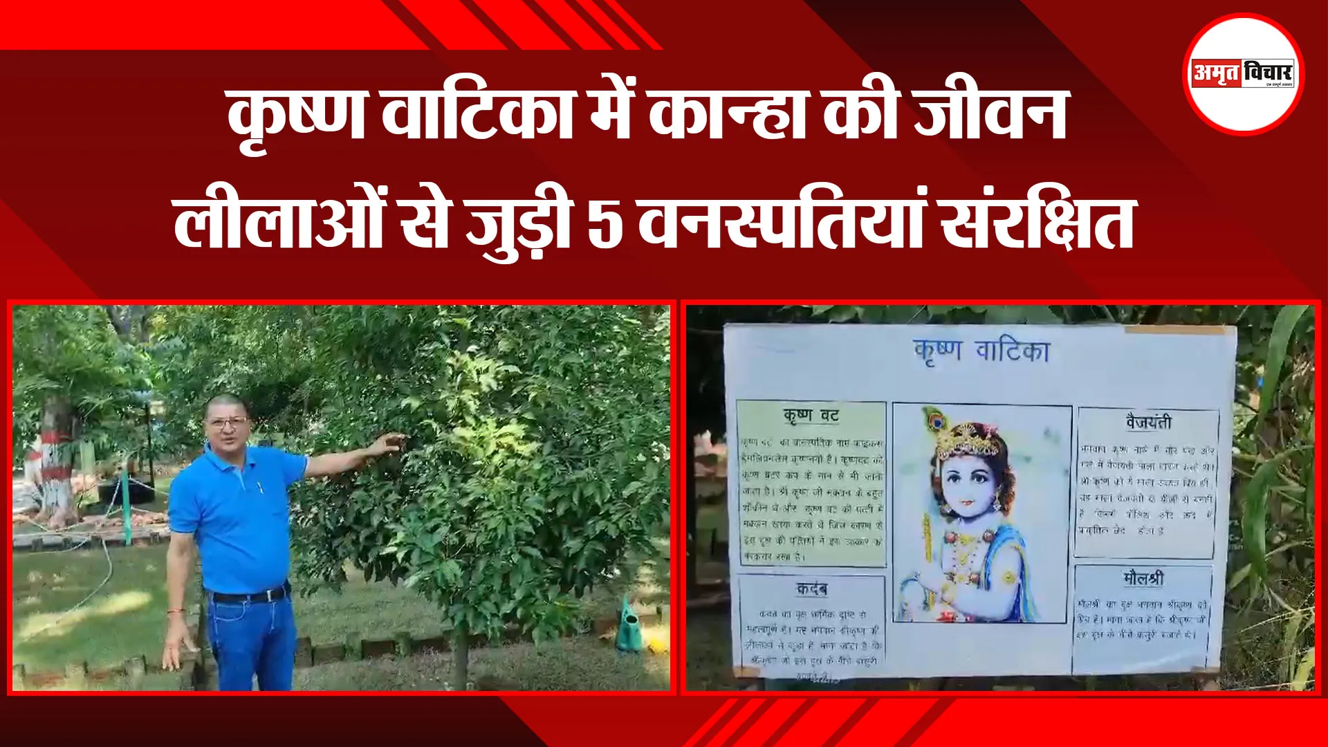 हल्द्वानी: कृष्ण वाटिका में कान्हा की जीवन लीलाओं से जुड़ी 5 वनस्पतियां संरक्षित