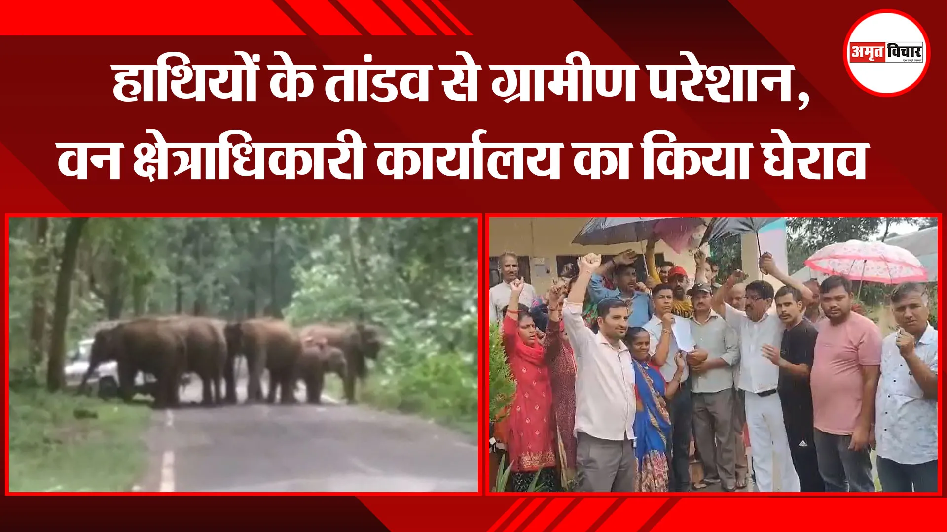 कालाढूंगी: हाथियों के तांडव से ग्रामीण परेशान, वन क्षेत्राधिकारी कार्यालय का किया घेराव