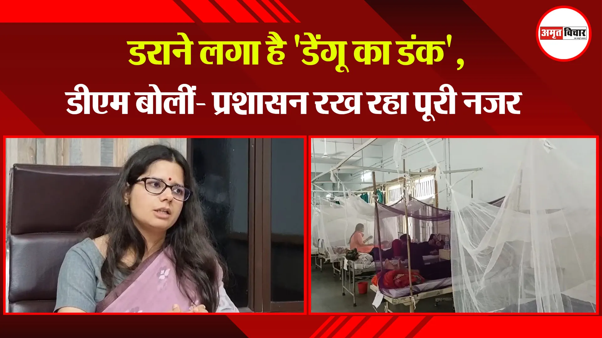 हल्द्वानी: डराने लगा है 'डेंगू का डंक', डीएम बोलीं- प्रशासन रख रहा पूरी नजर
