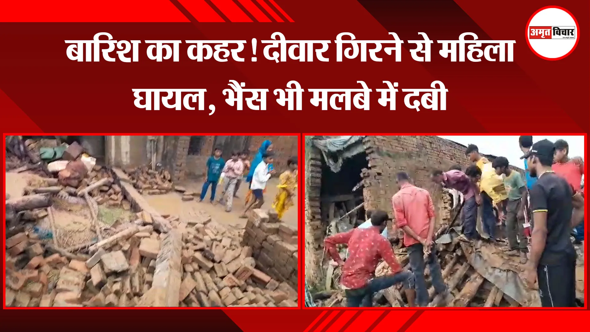 मुरादाबाद: बारिश का कहर! दीवार गिरने से महिला घायल, भैंस भी मलबे में दबी