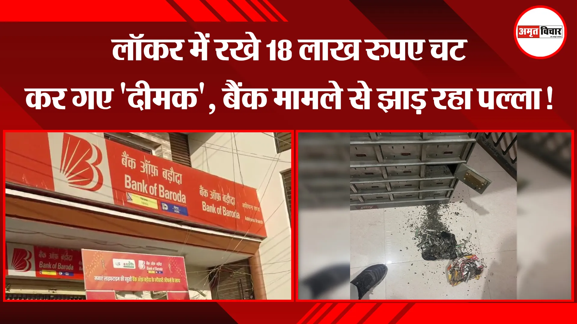 मुरादाबाद: लॉकर में रखे 18 लाख रुपए चट कर गए 'दीमक', बैंक मामले स‍े झाड़ रहा पल्ला!