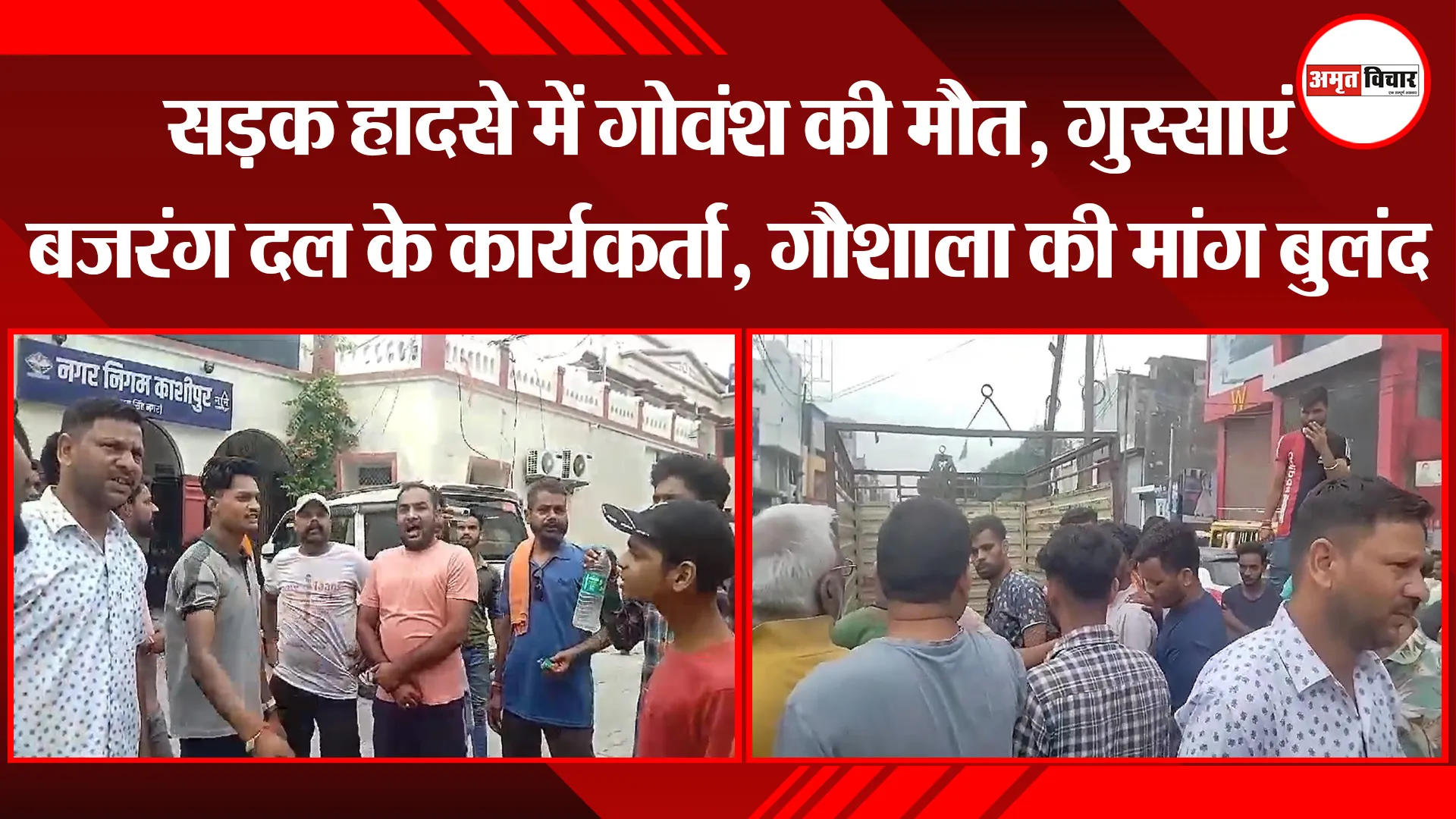 काशीपुर: सड़क हादसे में गोवंश की मौत, गुस्साएं बजरंग दल के कार्यकर्ता, गौशाला की मांग बुलंद