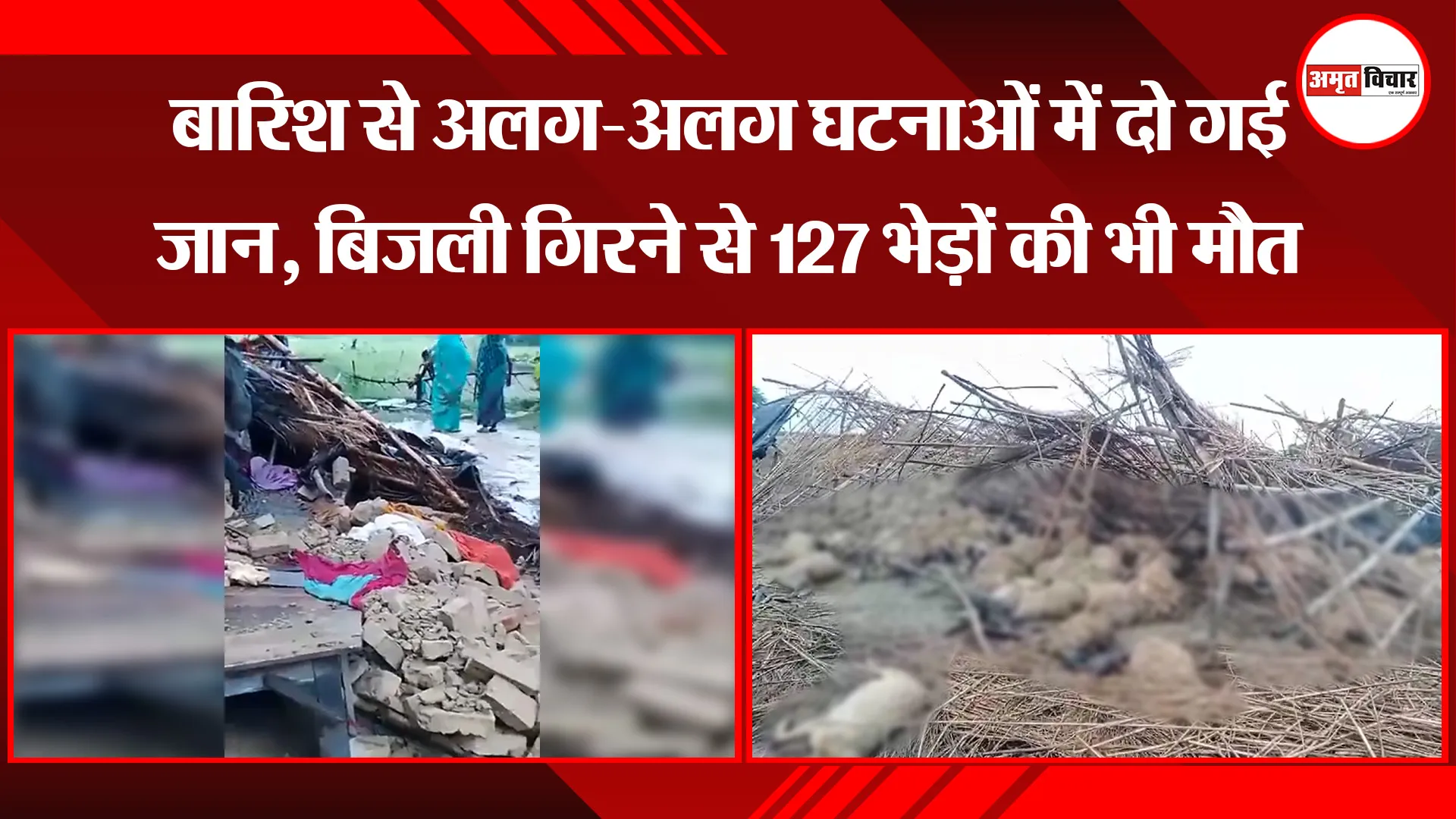 उन्नाव: बारिश से अलग-अलग घटनाओं में दो गई जान, बिजली गिरने से 127 भेड़ों की भी मौत