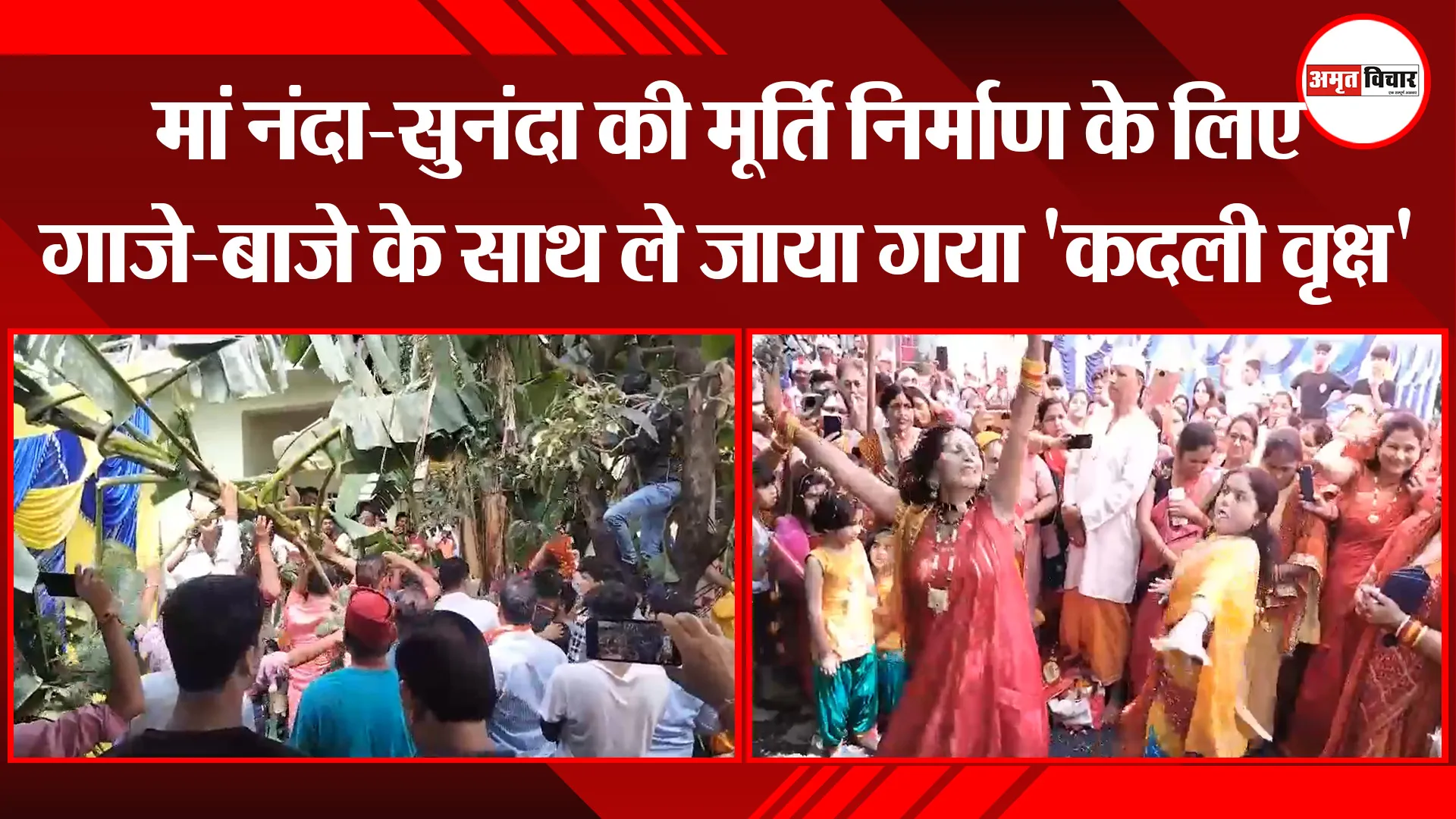 हल्द्वानी: मां नंदा-सुनंदा की मूर्ति निर्माण के लिए गाजे-बाजे के साथ ले जाया गया 'कदली वृक्ष'