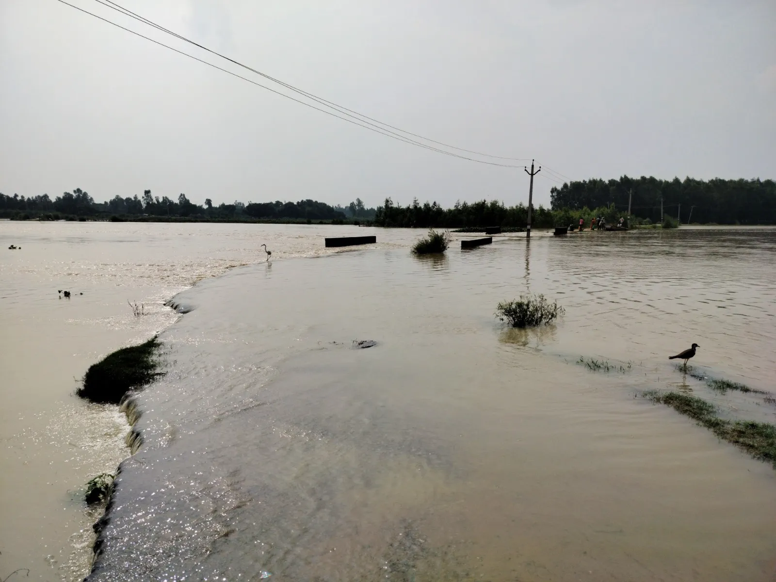 शाहजहांपुर: रामगंगा नदी की बाढ़ से गांवों में भरा पानी, 10 हजार लोग प्रभावित