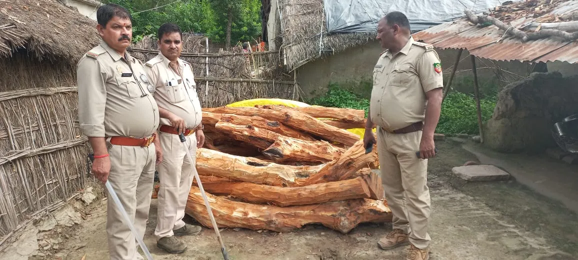 लखीमपुर-खीरी: वन कर्मियों ने पकड़ी डेढ़ सौ क्विंटल खैर की लकड़ी