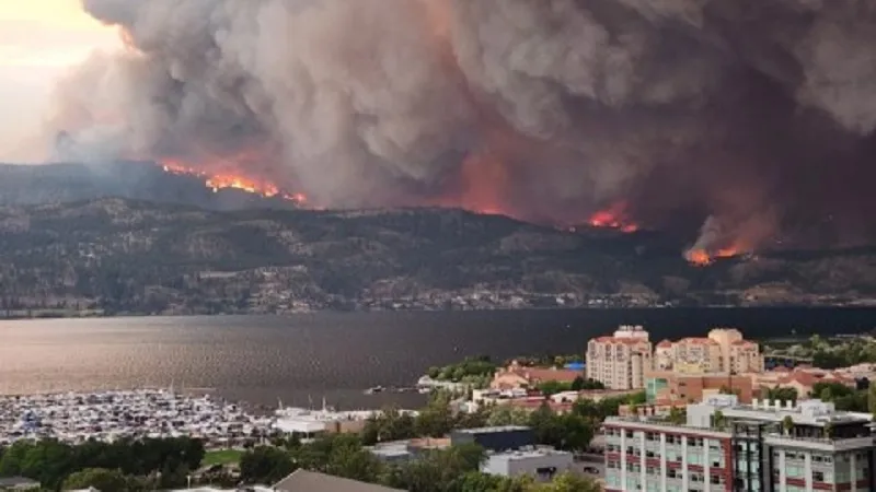 कैलिफ़ोर्निया के माउई द्वीप के जंगल में आग, 66 लोग लापता... 115 लोगों ने गवाई जान 