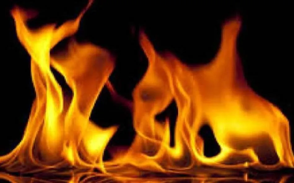 दिल्ली के संगम विहार में पुतले बनाने वाले कारखाने में लगी आग, कोई हताहत नहीं 