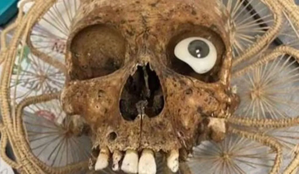 VIRAL NEWS: दानपेटी खोली तो निकली इंसानी खोपड़ी, देखकर लोगों की कांपी रूह 