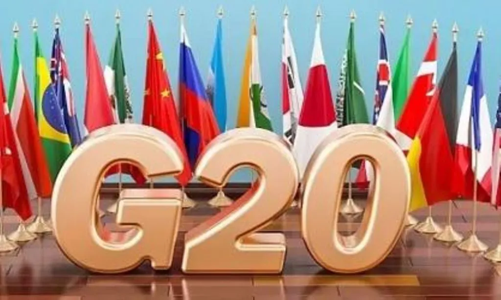 जी20 शिखर सम्मेलन: नई दिल्ली में दवाओं के अलावा अन्य डिलीवरी सेवाएं रहेंगी बंद