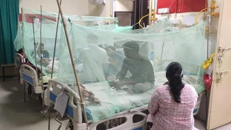 डेंगू के बढ़ते प्रकोप से प्रयागराज में दहशत, 300 पहुंची संक्रमितों की संख्या