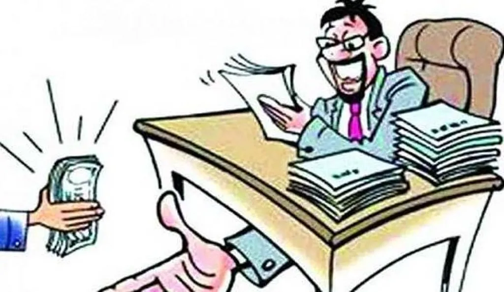 बरेली: कागजों पर बनाई सड़क और खा गए पैसा 