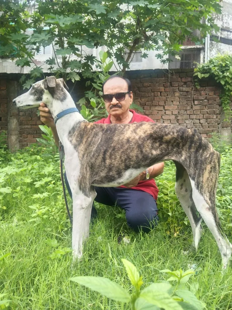 डॉग प्रेमी इरशाद अली खां 2