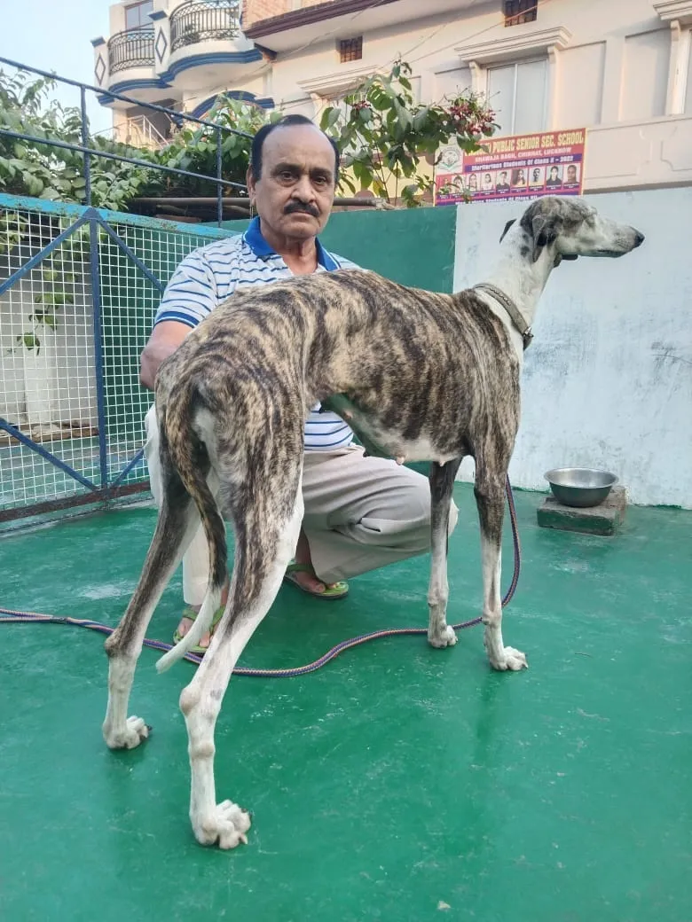 डॉग प्रेमी इरशाद अली खां