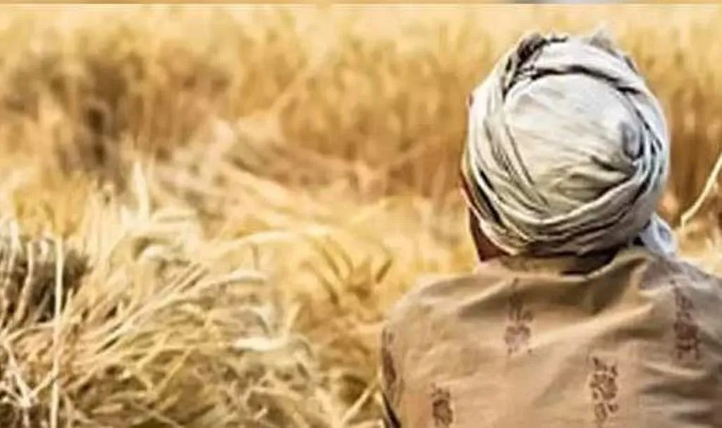 बरेली: पोर्टल पर नहीं दिख रहा किसानों का पंजीकरण नंबर, सत्यापन में रुकावट